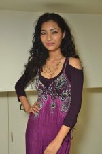 at Designer Aarti Gupta showcases her collection in Wedding Cafe on 23rd Nov 2011 (160).JPG
